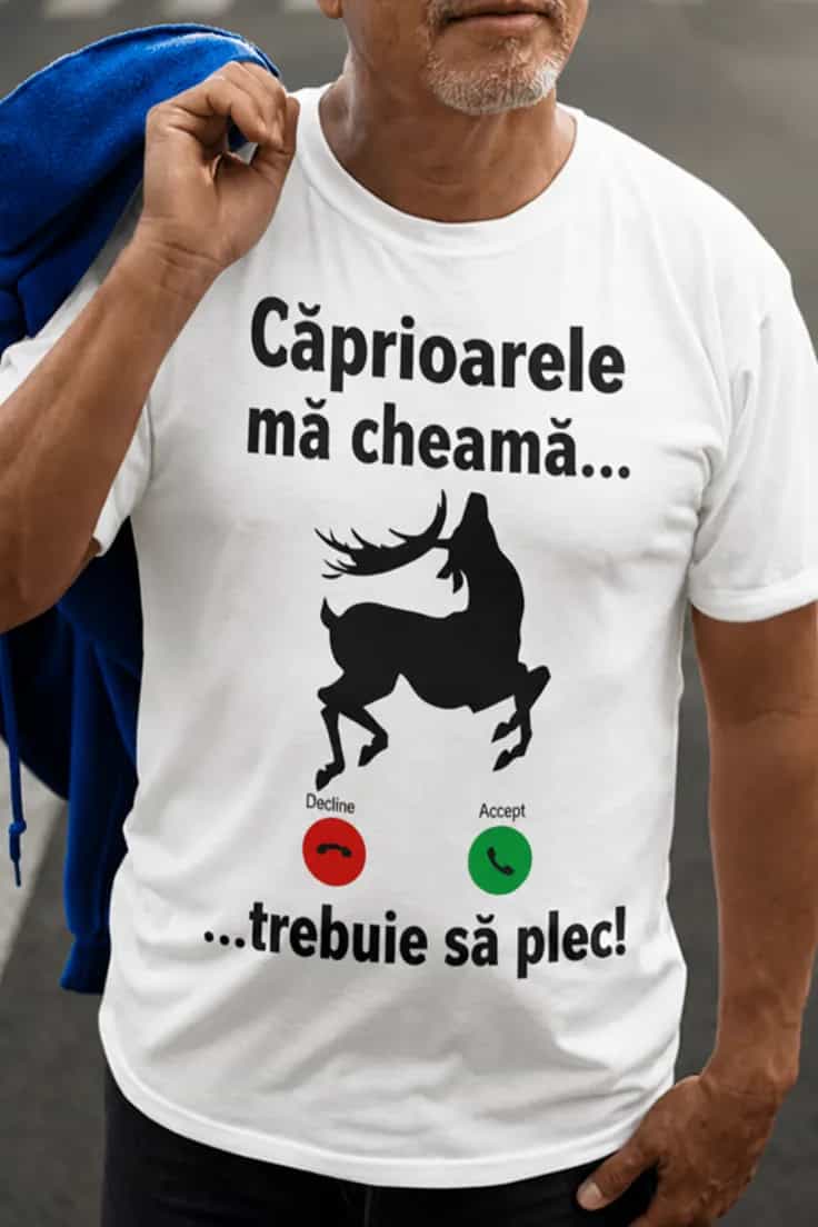 Miniatură