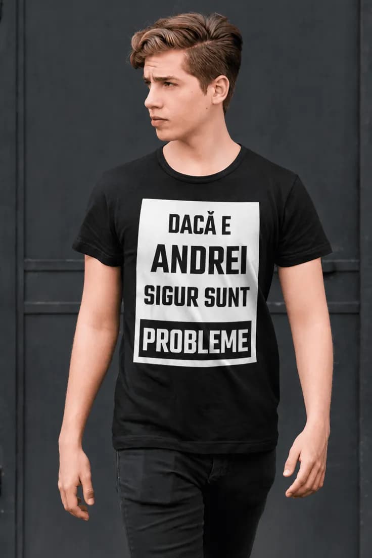 Imaginea produsului 1